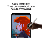 iPad Pro 11" M4
